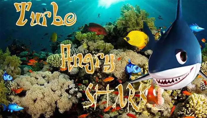 Play Turbo Angry Shark Fish