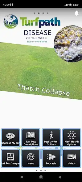 Play Turfpath and enjoy Turfpath with UptoPlay Play Turfpath and enjoy Turfpath with UptoPlay