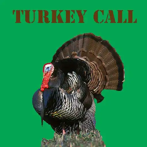 Run free android online Turkey Call Free APK