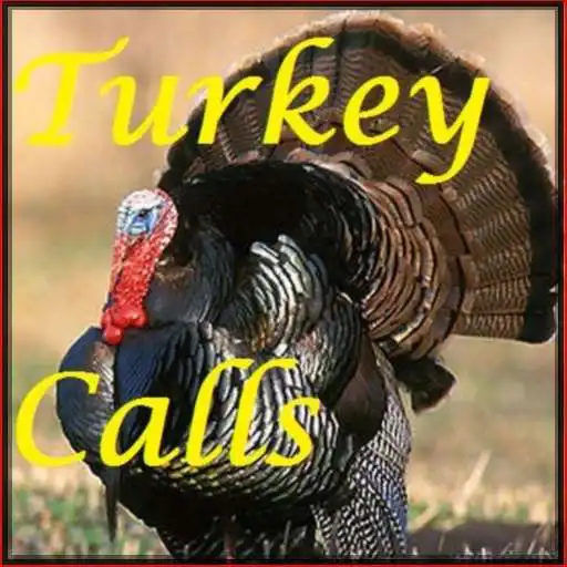 Free play online Turkey Calls HD APK Free play online Turkey Calls HD APK
