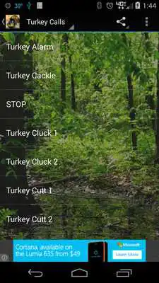 Play Turkey Calls HD