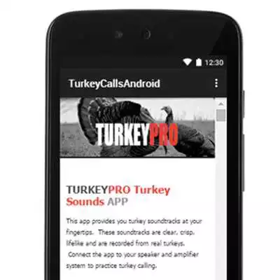 Play Turkey Calls - Turkey Sounds