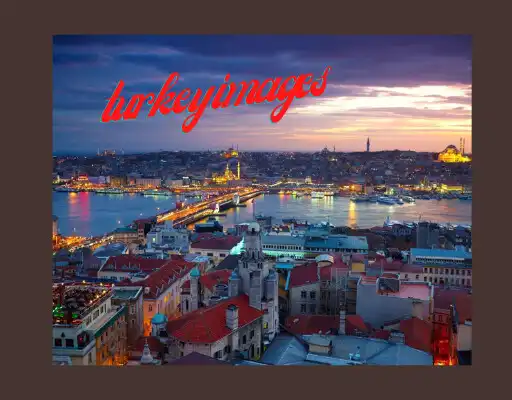 Play turkey pictures and enjoy turkey pictures with UptoPlay Play turkey pictures and enjoy turkey pictures with UptoPlay