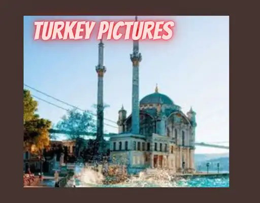 Play turkey pictures as an online game online turkey pictures with UptoPlay Play turkey pictures as an online game turkey pictures with UptoPlay