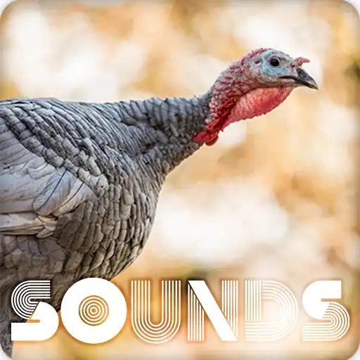 Play Turkey Sound Ringtones APK