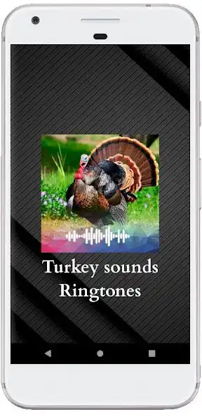 Play Turkey sounds Ringtones  and enjoy Turkey sounds Ringtones with UptoPlay