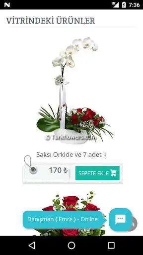 Play Turkflowers as an online game Turkflowers with UptoPlay