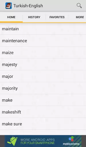 Play Turkish English Dictionary