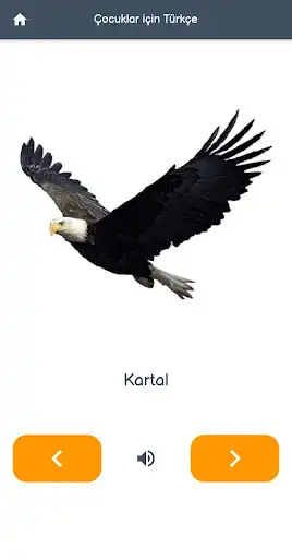 Play Turkish For Kids as an online game Turkish For Kids with UptoPlay