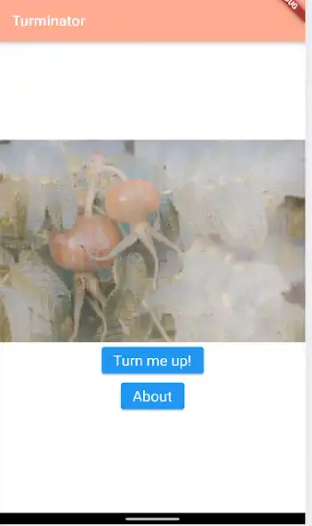 Play Turminator and enjoy Turminator with UptoPlay Play Turminator and enjoy Turminator with UptoPlay