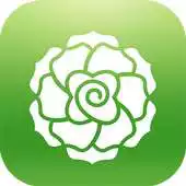 Free play online Turnatur APK