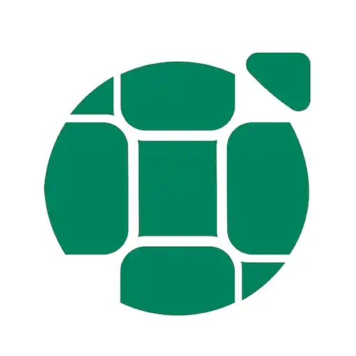 Play Turt Driver APK