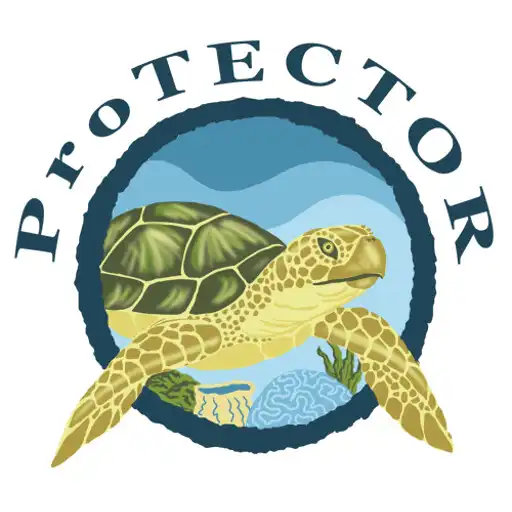 Play TURT APK Play TURT APK
