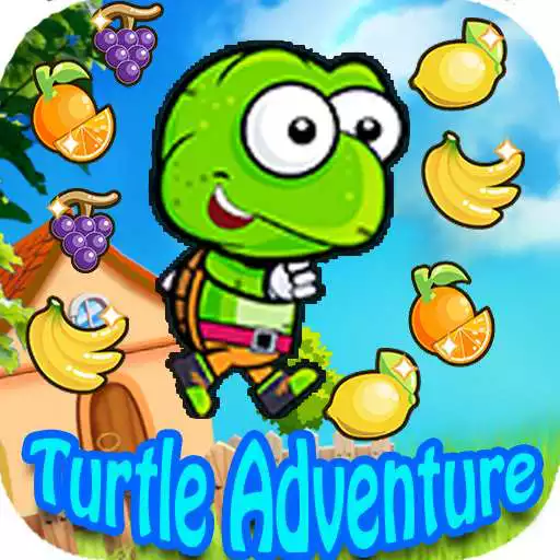 Play Turtle Adventure APK
