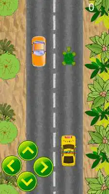 Play Turtle Crossing