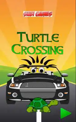 Play Turtle Crossing