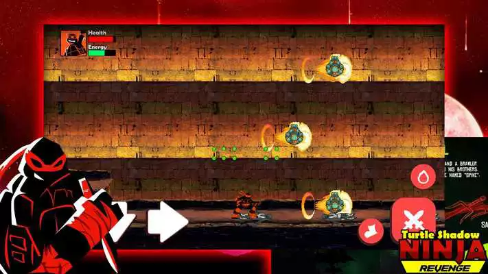 Play Turtle Ninja Shadow