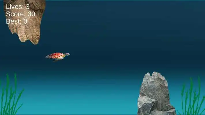 Play Turtle Run:Ocean Adventure