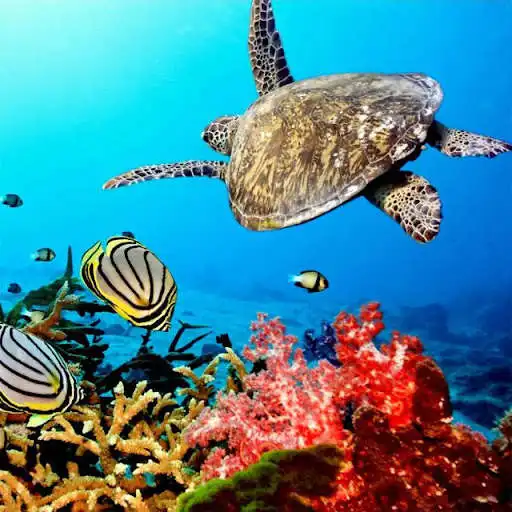 Play Turtles Jigsaw Puzzles  and enjoy Turtles Jigsaw Puzzles with UptoPlay