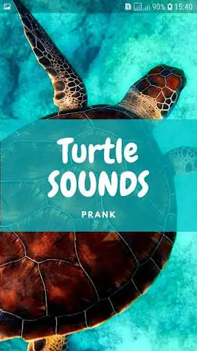 Play Turtle Sounds and Wallpapers and enjoy Turtle Sounds and Wallpapers with UptoPlay Play Turtle Sounds and Wallpapers and enjoy Turtle Sounds and Wallpapers with UptoPlay