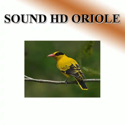 Play Turtles sound to birds. APK Play Turtles sound to birds. APK