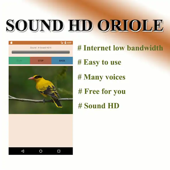 Play Turtles sound to birds. as an online game Turtles sound to birds. with UptoPlay