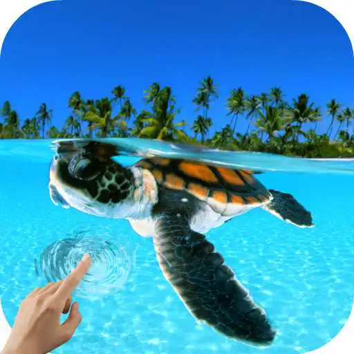 Turtle Underwater 3D Wallpaper online game with UptoPlay