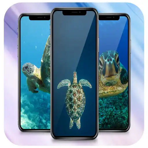 Play Turtle Wallpaper Live APK Play Turtle Wallpaper Live APK
