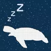 Free play online Turtle Z - auto SMS reply APK