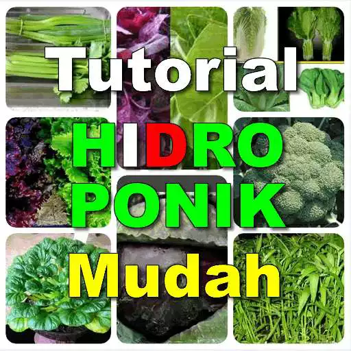 Play Tutorial Hidroponik Mudah APK