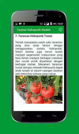 Play Tutorial Hidroponik Mudah as an online game Tutorial Hidroponik Mudah with UptoPlay