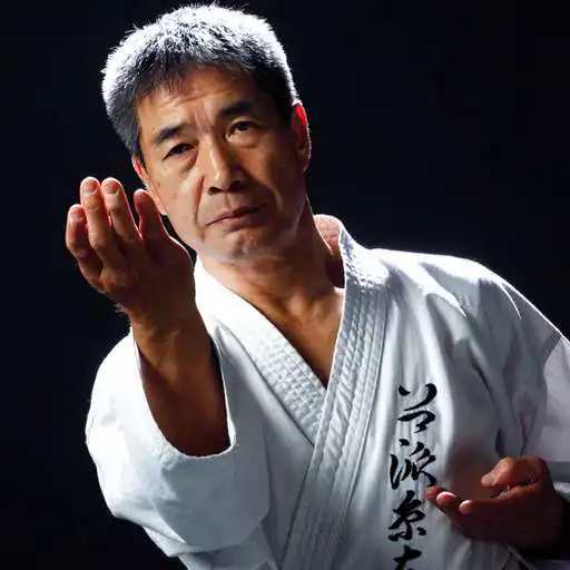 Play TUVB KARATE APK Play TUVB KARATE APK