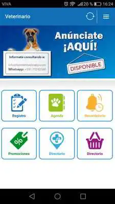 Play Tu Veterinario App