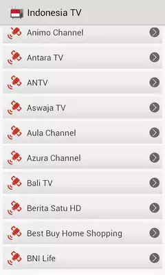 Play TV Channels Indonesia Online