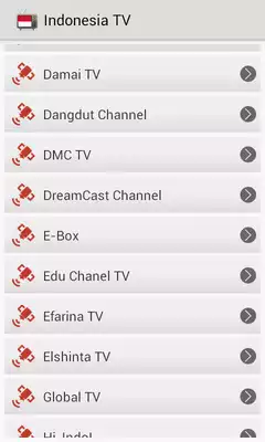 Play TV Channels Indonesia Online