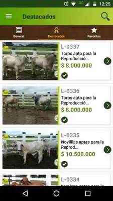 Play TVGAN Play TVGAN