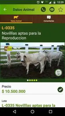 Play TVGAN Play TVGAN