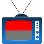 Free play online TV.ID TV Indonesia Online APK