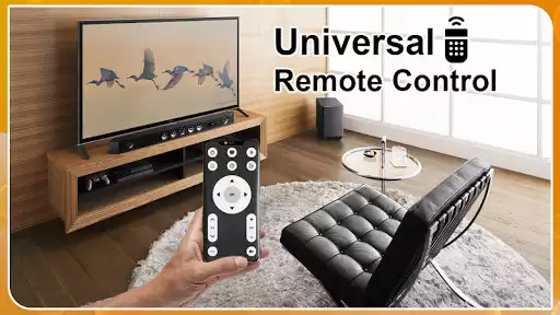 Play TV Remote Control