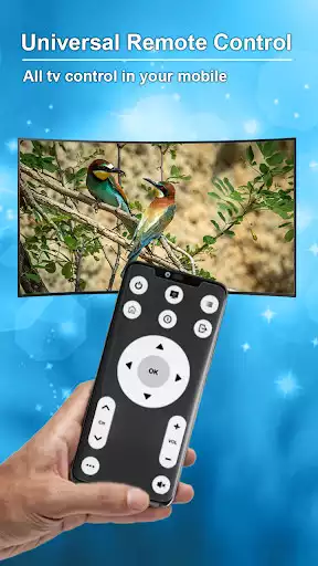 Play TV Remote Control