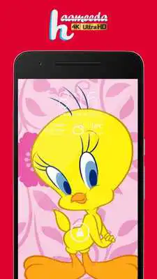 Play Tweety Bird Wallpapers