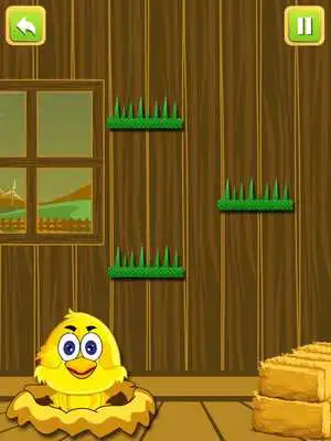 Play Tweety Chicken Catch Tap Tap