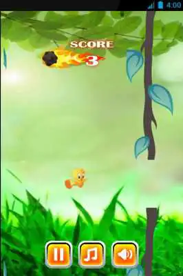 Play Tweety is coming Play Tweety is coming