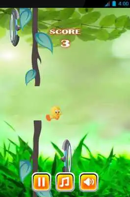 Play Tweety is coming Play Tweety is coming