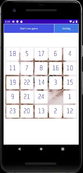 Play Twenty Five Puzzle  and enjoy Twenty Five Puzzle with UptoPlay