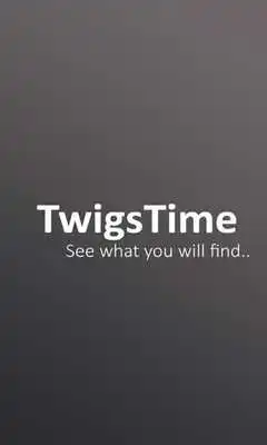 Play TwigsTime