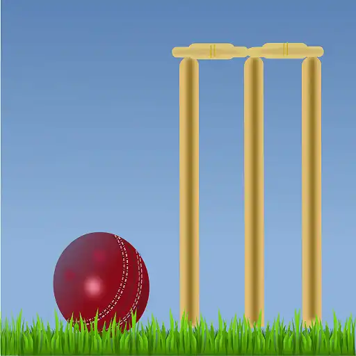 Play Twin Cricket Fun N Learning APK