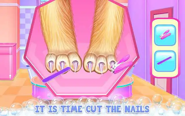 Play Twin Kitties Spa Caring Play Twin Kitties Spa Caring