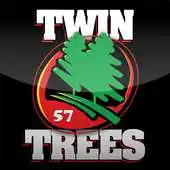 Free play online Twin Trees 57 APK