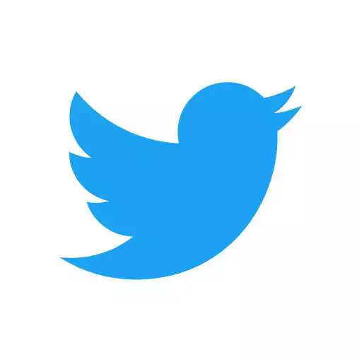 Play Twitter Lite APK